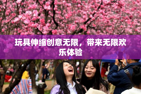 玩具伸缩创意无限，带来无限欢乐体验