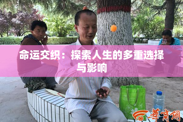 命运交织：探索人生的多重选择与影响