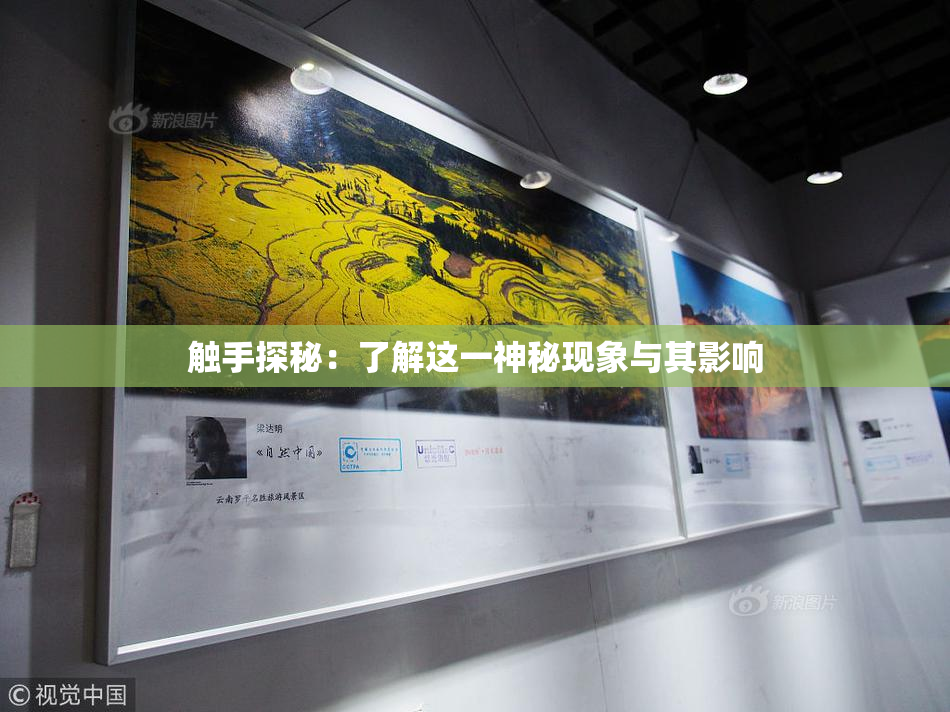 触手探秘：了解这一神秘现象与其影响