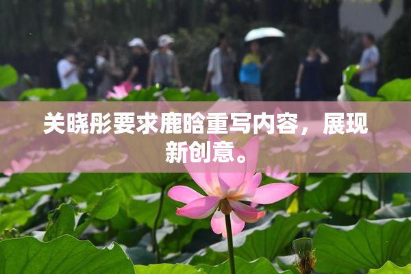 关晓彤要求鹿晗重写内容，展现新创意。