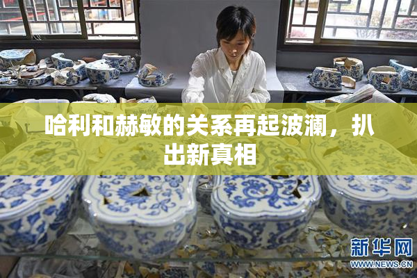 哈利和赫敏的关系再起波澜，扒出新真相