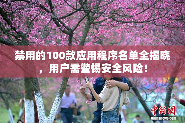 禁用的100款应用程序名单全揭晓，用户需警惕安全风险！
