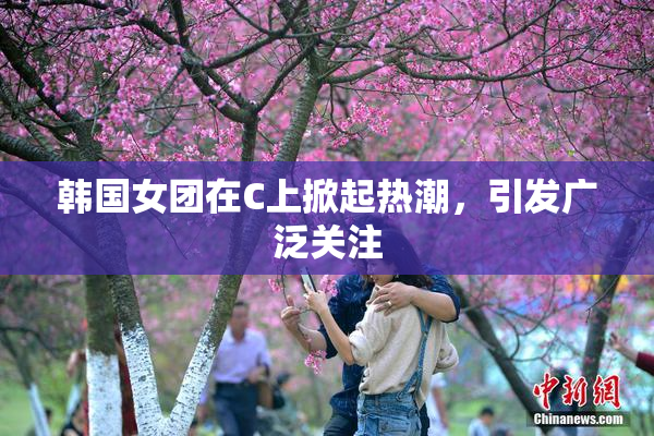 韩国女团在C上掀起热潮，引发广泛关注