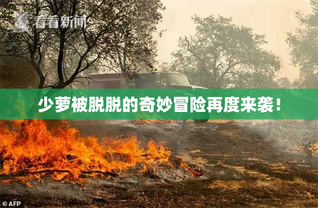 少萝被脱脱的奇妙冒险再度来袭！