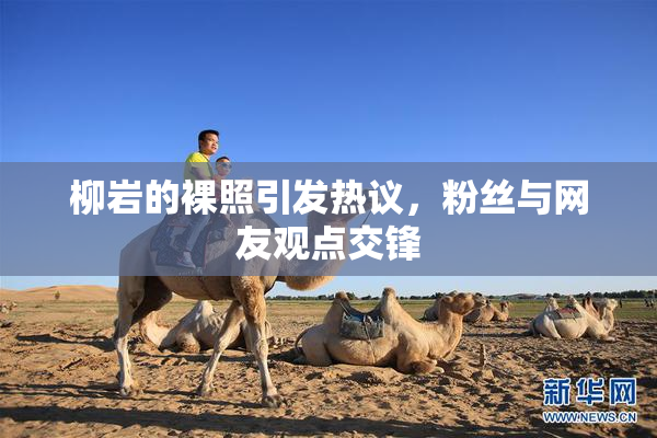 柳岩的裸照引发热议，粉丝与网友观点交锋