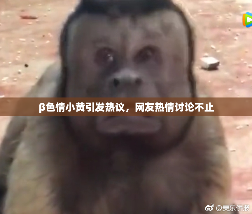 β色情小黄引发热议，网友热情讨论不止