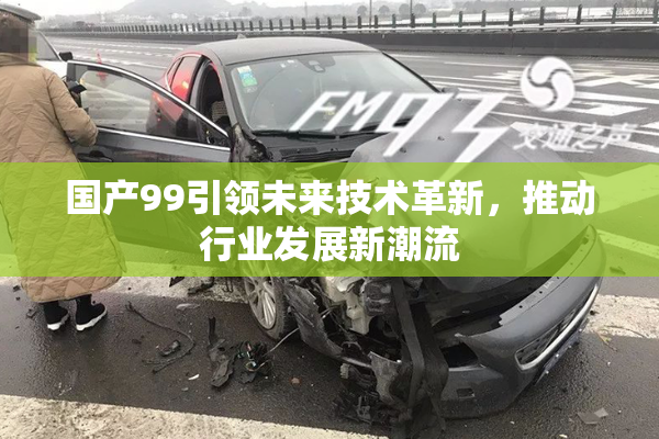 国产99引领未来技术革新，推动行业发展新潮流