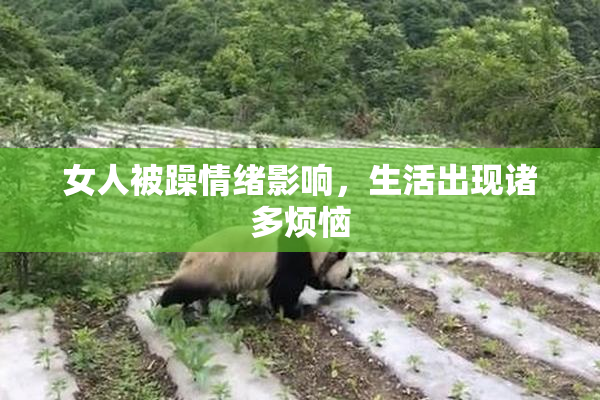 女人被躁情绪影响，生活出现诸多烦恼
