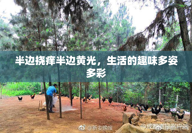 半边挠痒半边黄光，生活的趣味多姿多彩