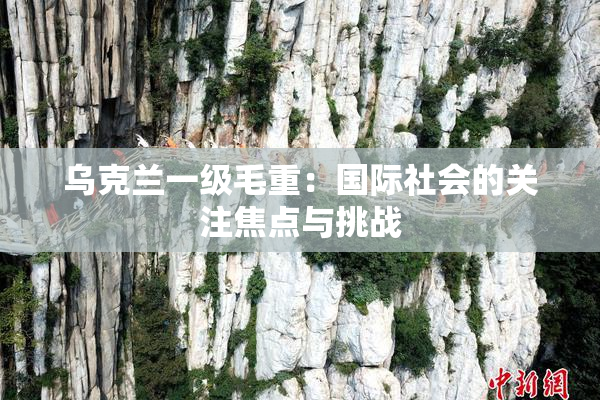 乌克兰一级毛重：国际社会的关注焦点与挑战