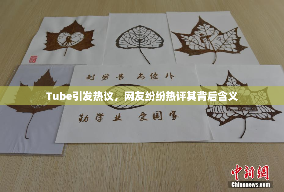 Tube引发热议，网友纷纷热评其背后含义