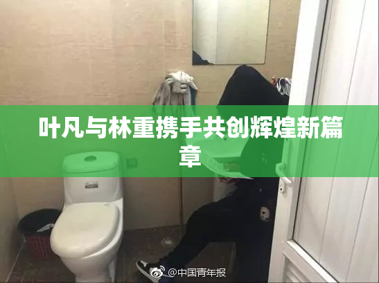 叶凡与林重携手共创辉煌新篇章