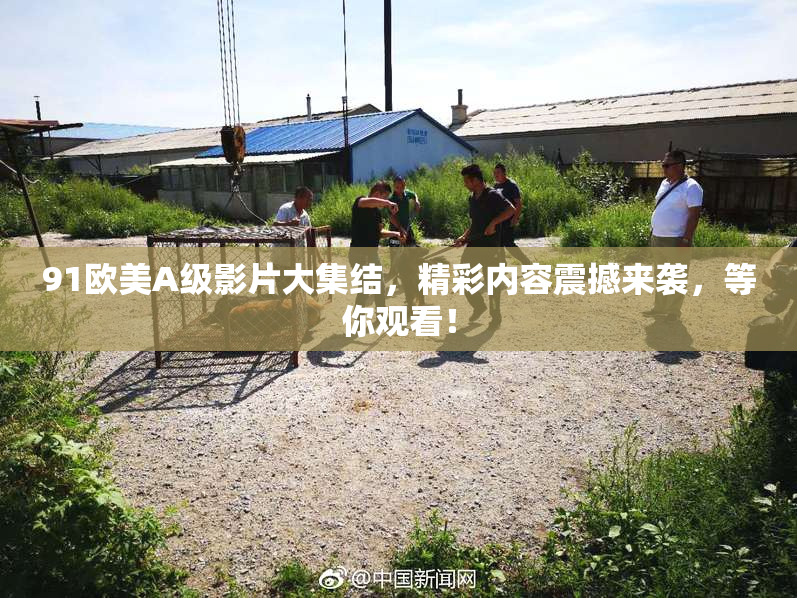 91欧美A级影片大集结，精彩内容震撼来袭，等你观看！
