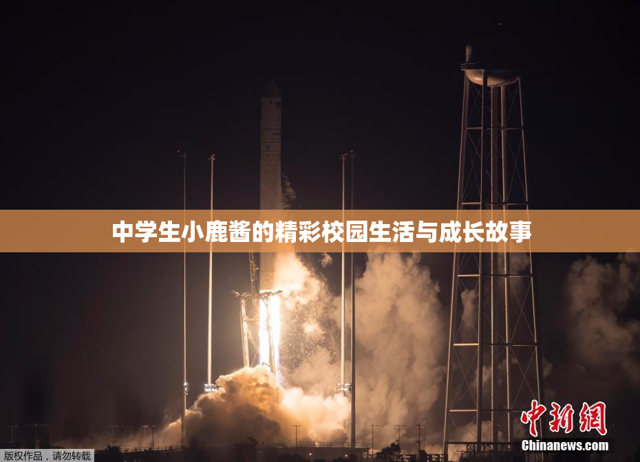 中学生小鹿酱的精彩校园生活与成长故事