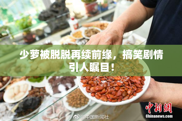 少萝被脱脱再续前缘，搞笑剧情引人瞩目！