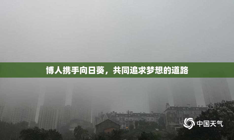 博人携手向日葵，共同追求梦想的道路