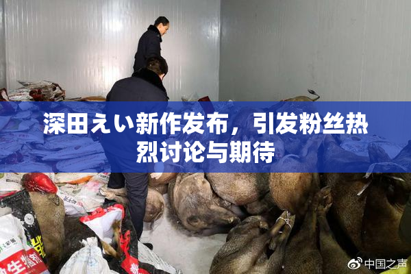 深田えい新作发布，引发粉丝热烈讨论与期待