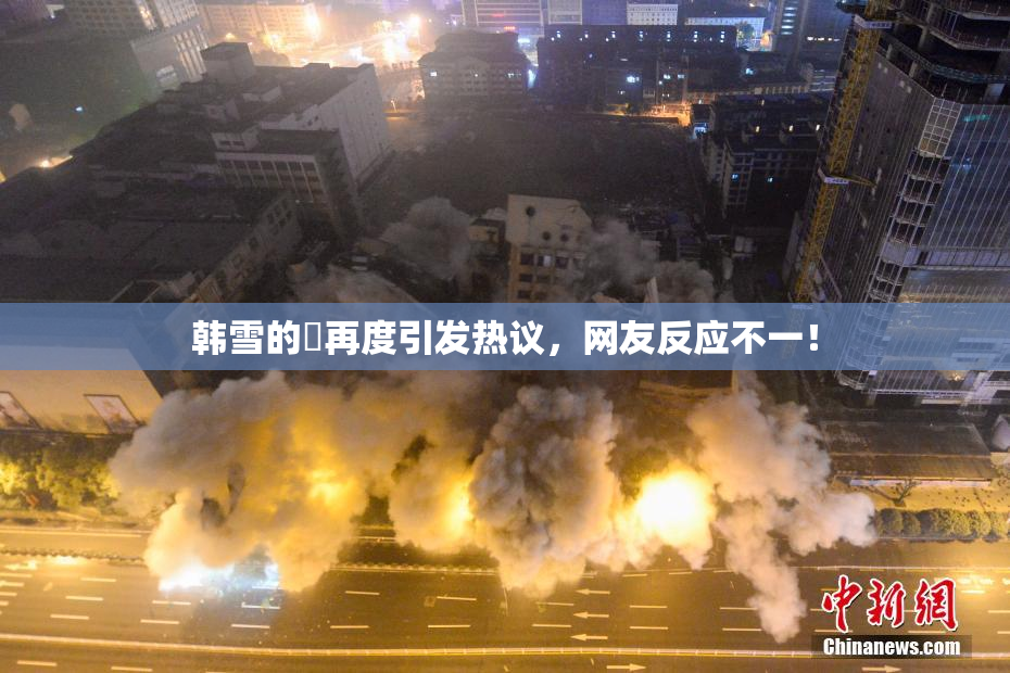 韩雪的婬再度引发热议，网友反应不一！