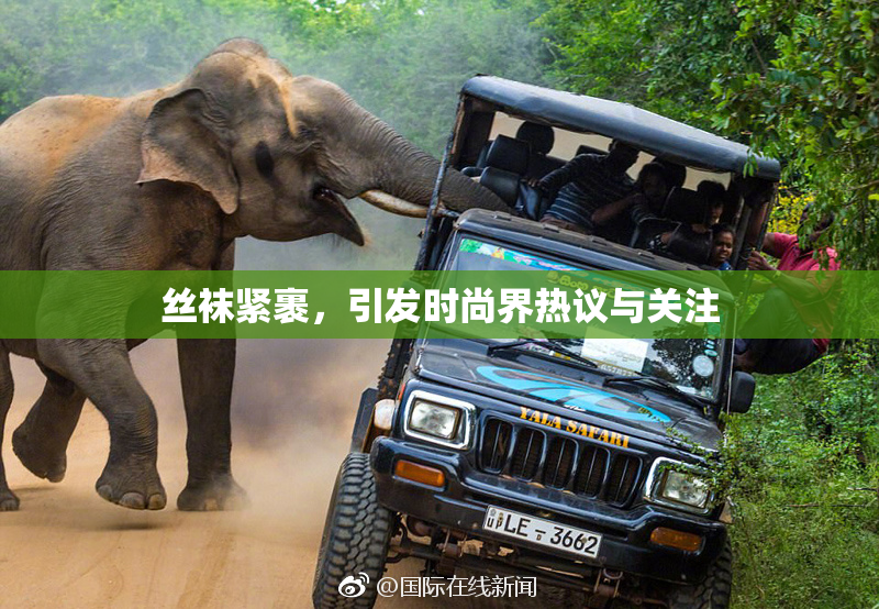 丝袜紧裹，引发时尚界热议与关注