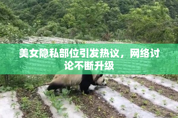 美女隐私部位引发热议，网络讨论不断升级