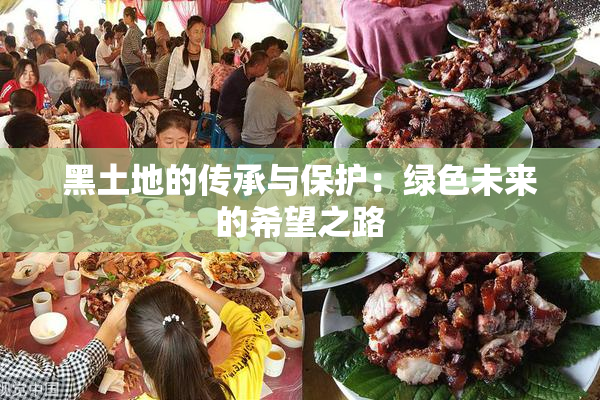 黑土地的传承与保护：绿色未来的希望之路
