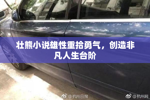 壮熊小说雄性重拾勇气，创造非凡人生台阶