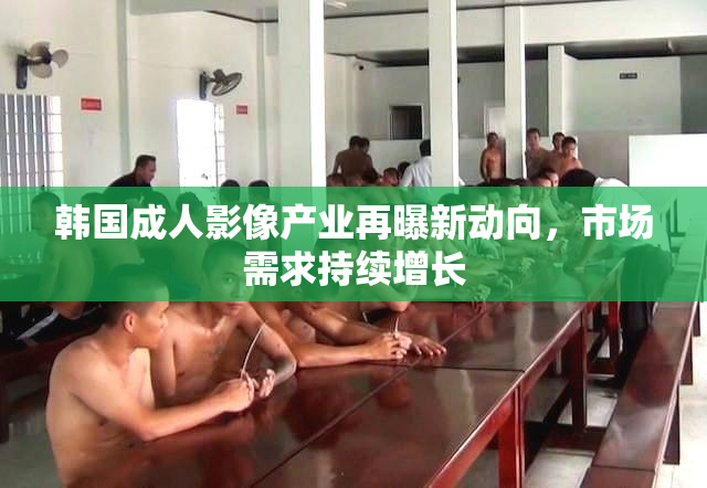 韩国成人影像产业再曝新动向，市场需求持续增长