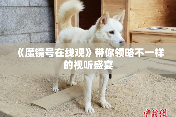 《魔镜号在线观》带你领略不一样的视听盛宴