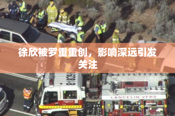 徐欣被罗重重创，影响深远引发关注