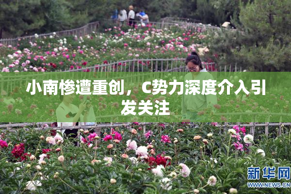 小南惨遭重创，C势力深度介入引发关注
