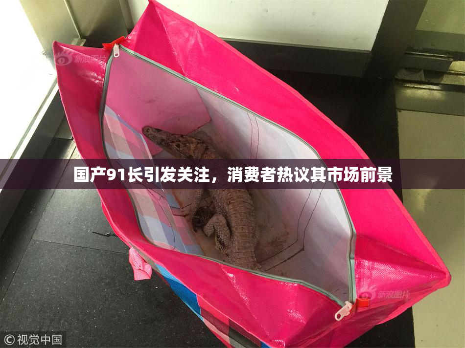 国产91长引发关注，消费者热议其市场前景