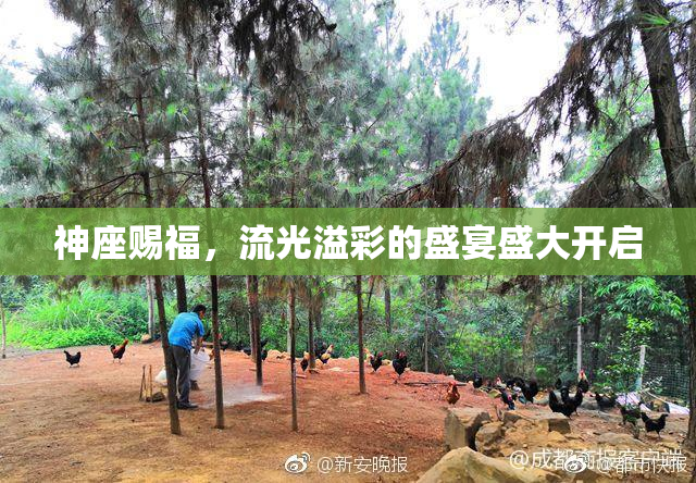 神座赐福，流光溢彩的盛宴盛大开启