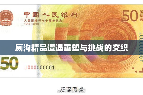厕沟精品遭遇重塑与挑战的交织