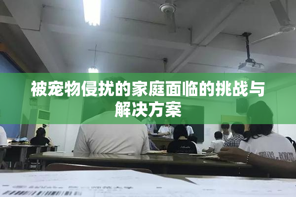 被宠物侵扰的家庭面临的挑战与解决方案
