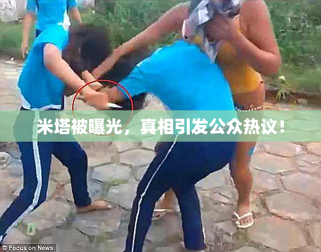 米塔被曝光，真相引发公众热议！