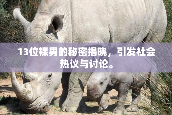 13位裸男的秘密揭晓，引发社会热议与讨论。