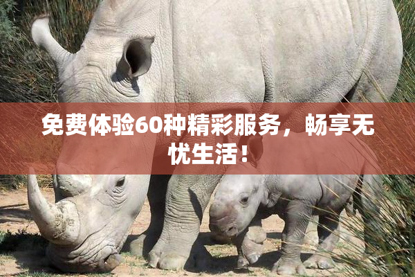 免费体验60种精彩服务，畅享无忧生活！