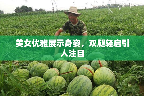 美女优雅展示身姿，双腿轻启引人注目