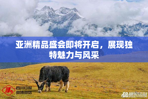 亚洲精品盛会即将开启，展现独特魅力与风采