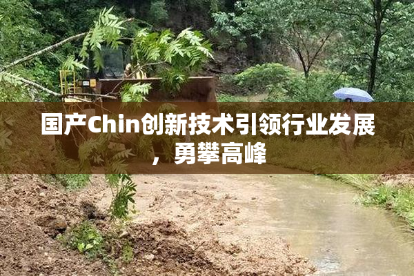 国产Chin创新技术引领行业发展，勇攀高峰