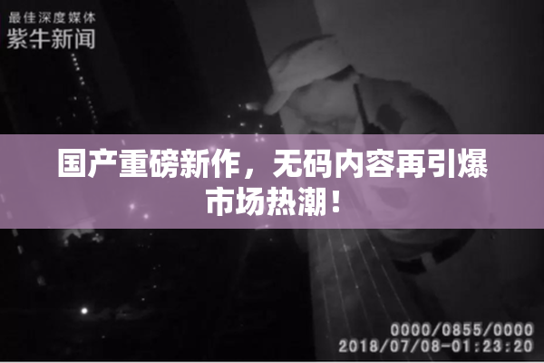 国产重磅新作，无码内容再引爆市场热潮！