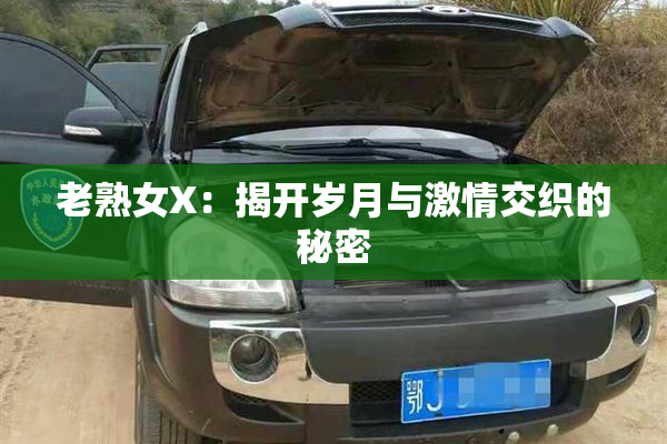 老熟女X：揭开岁月与激情交织的秘密