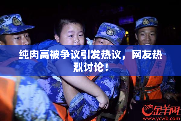 纯肉高被争议引发热议，网友热烈讨论！