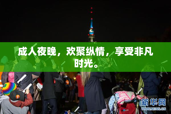 成人夜晚，欢聚纵情，享受非凡时光。