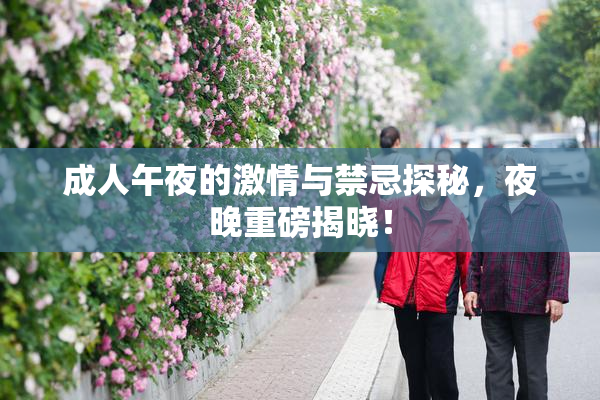 成人午夜的激情与禁忌探秘，夜晚重磅揭晓！