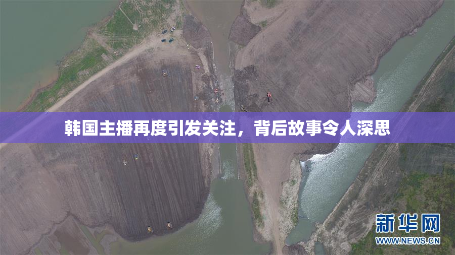 韩国主播再度引发关注，背后故事令人深思
