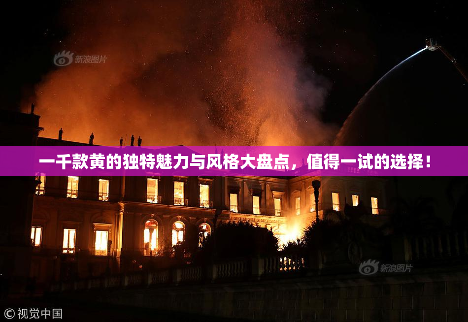 一千款黄的独特魅力与风格大盘点，值得一试的选择！