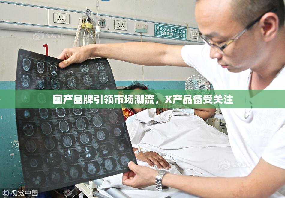 国产品牌引领市场潮流，X产品备受关注