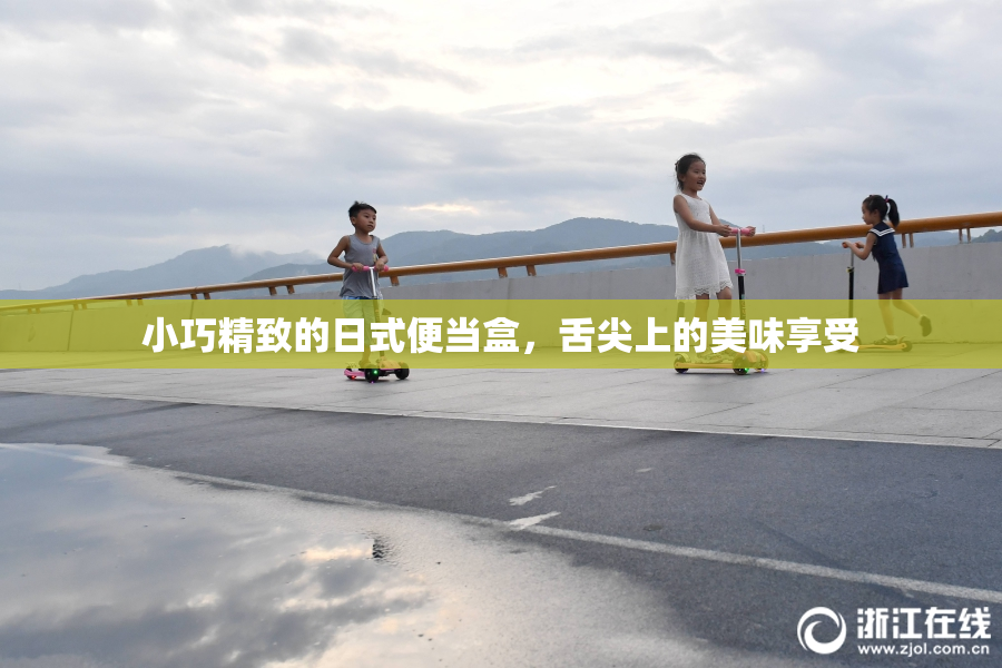 小巧精致的日式便当盒，舌尖上的美味享受