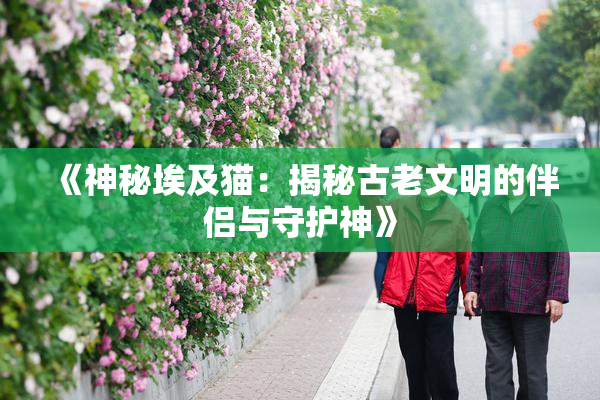 《神秘埃及猫：揭秘古老文明的伴侣与守护神》